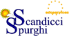 Company Sheet SCANDICCI SPURGHI ECOSERVICES snc