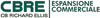 Scheda Azienda CBRE ESPANSIONE COMMERCIALE srl