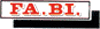 Company Sheet FA.BI. TORINO srl