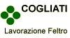 Scheda Azienda COGLIATI di COGLIATI FERRUCCIO & C. snc