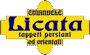 Scheda Azienda LICATA EMANUELE TAPPETI