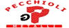 Scheda Azienda GUIDO PECCHIOLI srl