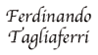 Scheda Azienda FISIOTERAPIA TAGLIAFERRI FERDINANDO