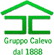 Scheda Azienda GRUPPO CALEVO