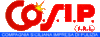 Company Sheet CO.S.I.P. srl