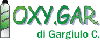 Company Sheet OXY. GAR. di GARGIULO CONCETTA sas