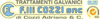Company Sheet FRATELLI COZZI snc