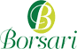 Company Sheet BORSARI E. E C. srl