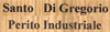 Scheda Azienda DI GREGORIO SANTO