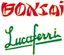 Scheda Azienda BONSAI LUCAFERRI