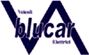 Scheda Azienda BLUCAR srl