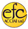 Company Sheet E.F.C. ACCIAI srl