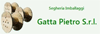 Company Sheet SEGHERIA GATTA SEGHERIA IMBALLAGGI GATTA PIETRO srl