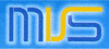 Company Sheet M.V.S. srl