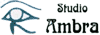 Scheda Azienda STUDIO AMBRA srl