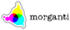Company Sheet MORGANTI srl