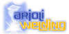 Scheda Azienda ARIOLI WELDING srl