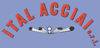 Company Sheet ITAL ACCIAI srl