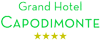 Scheda Azienda ALBERGO GRAND HOTEL CAPODIMONTE GEROMA spa