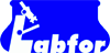 Company Sheet LABFOR srl