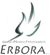 Scheda Azienda CENTRO MEDICO ERBORA sas