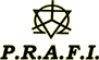 Company Sheet P.R.A.F.I. srl