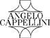 Scheda Azienda CAPPELLINI ANGELO & C. srl