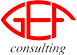 Scheda Azienda GEF CONSULTING srl
