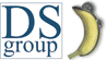 Company Sheet DS GROUP srl