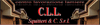 Company Sheet C.L.L. SQUITIERI & C. srl