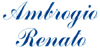Scheda Azienda AMBROGIO RENATO