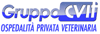 Scheda Azienda CENTRO VETERINARIO TORINESE DI RIVOLI - OSPEDALE SAN FRANCESCO CVTDUE srl