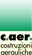 Company Sheet C.AER sas