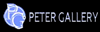 Scheda Azienda VENDITA QUADRI - PETER GALLERY