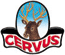 Company Sheet CERVUS INDUSTRIA PENNELLI sas