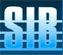 Scheda Azienda S.I.B. SOCIETA' ITALIANA BROKERS