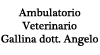 Scheda Azienda GALLINA DR. ANGELO