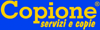 Scheda Azienda COPIONE srl