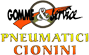 Scheda Azienda PNEUMATICI CIONINI snc