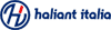 Scheda Azienda HALIANT ITALIA srl