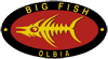 Company Sheet BIG FISH di DEIANA SIMPLICIO