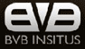 Company Sheet B.V.B. INSITUS di VENIER VITTORIO & C. snc