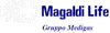 Company Sheet MAGALDI LIFE srl