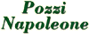 Company Sheet POZZI NAPOLEONE srl
