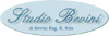 Scheda Azienda STUDIO BEVINI