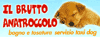 Scheda Azienda IL BRUTTO ANATROCCOLO