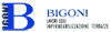 Scheda Azienda BIGONI srl