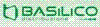 Company Sheet BASILICO DISTRIBUZIONE srl