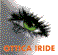 Scheda Azienda OTTICA IRIDE sas