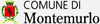 Company Sheet COMUNE DI MONTEMURLO